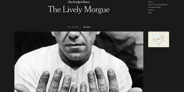 The-Lively-Morgue