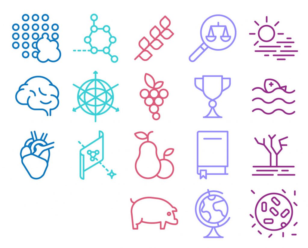 05_iconset-CS